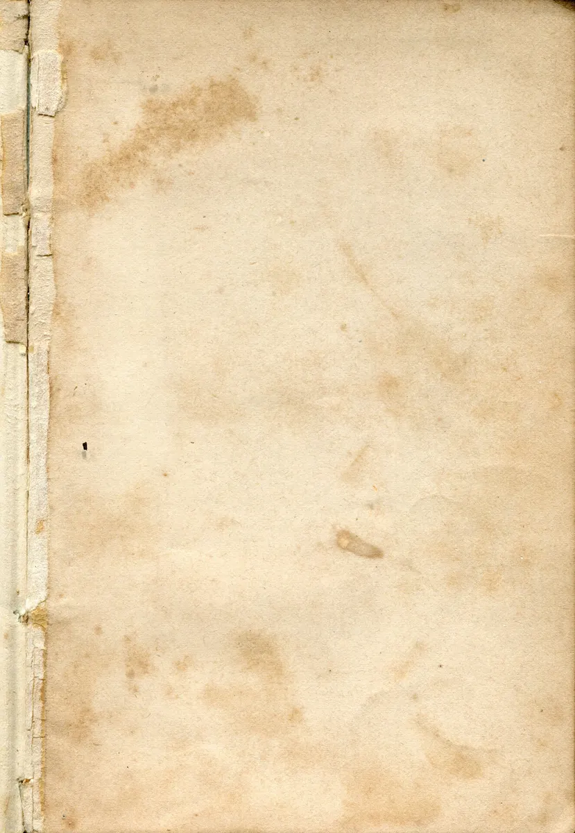 Gerfalcon gallery image 4