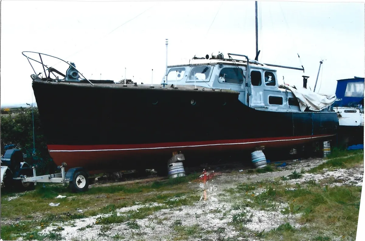 Gerfalcon gallery image 51