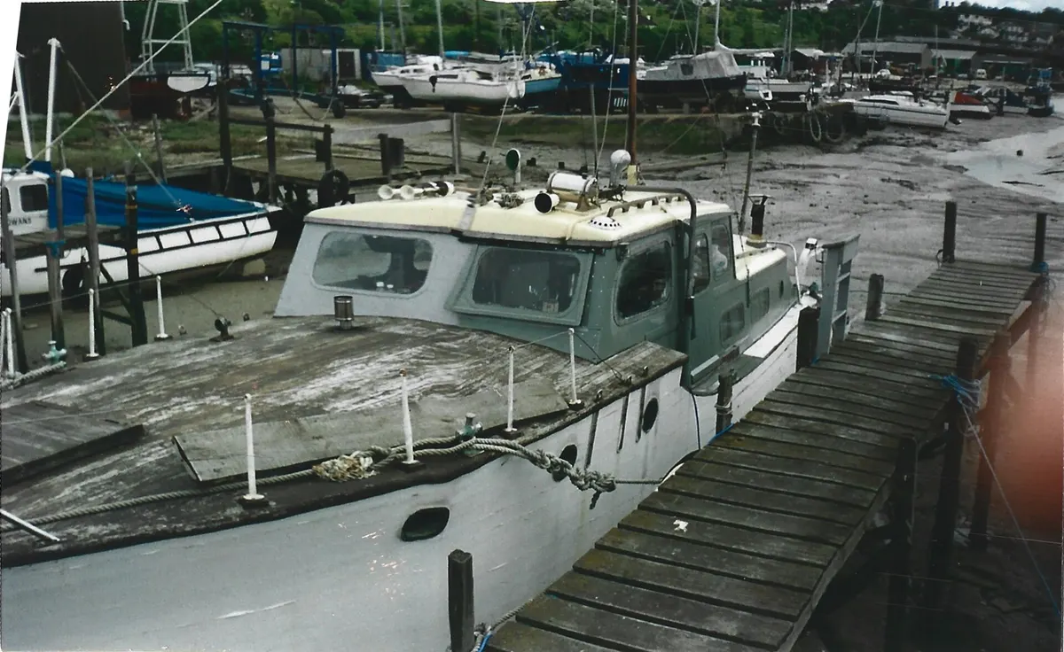 Gerfalcon gallery image 16