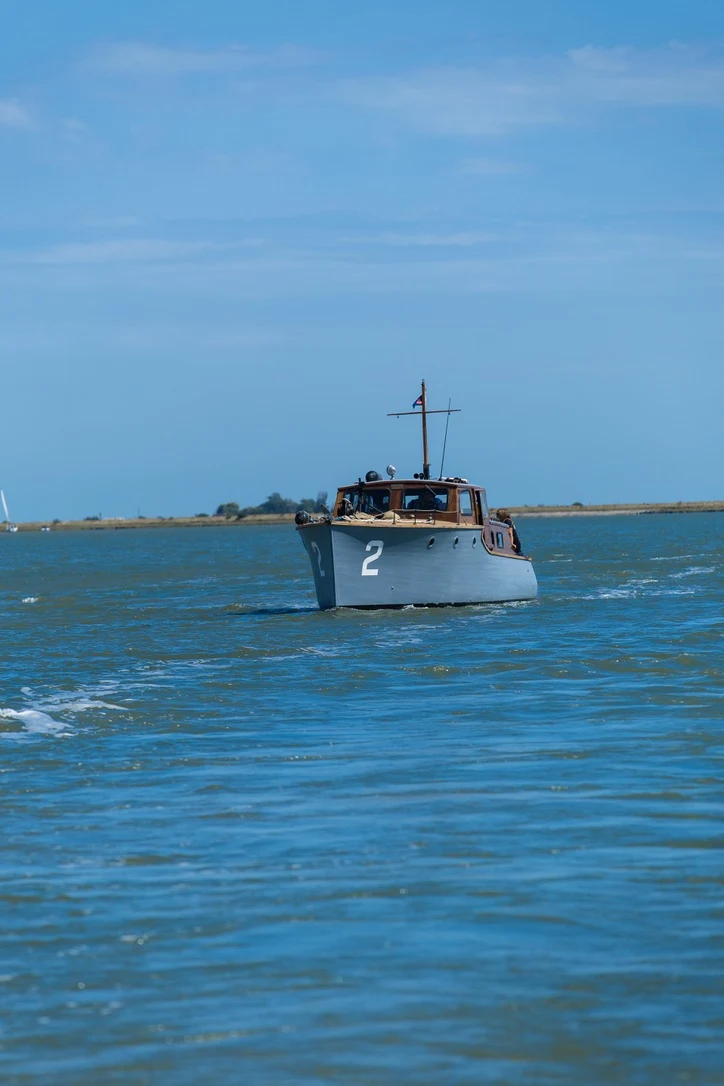 Gerfalcon approaching from a distance